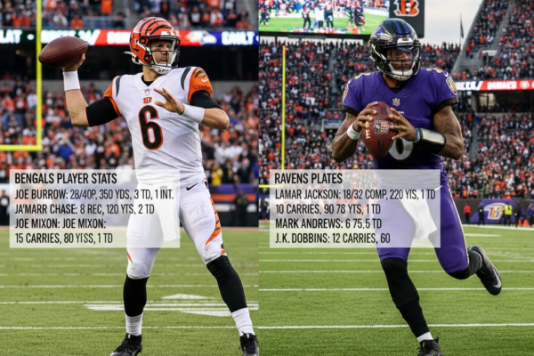 bengals vs baltimore ravens match player stats