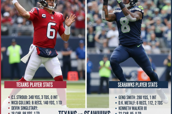 texans vs seahawks match player stats